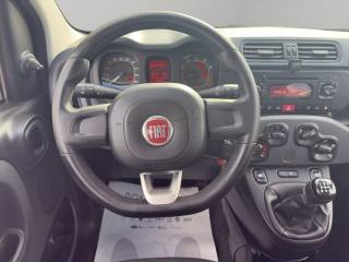 FIAT Panda usata 11