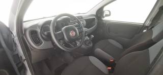 FIAT Panda usata 42