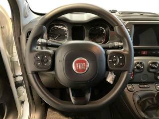 FIAT Panda usata 15
