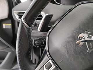 PEUGEOT 3008 usata, con Fendinebbia