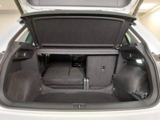 VOLKSWAGEN Tiguan usata, con Controllo vocale