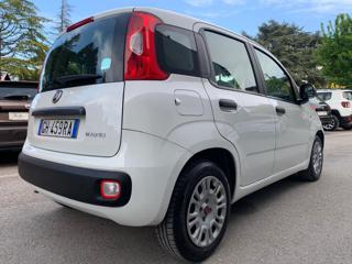 FIAT Panda usata, con Chiusura centralizzata