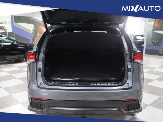 LEXUS NX 300 usata, con Autoradio
