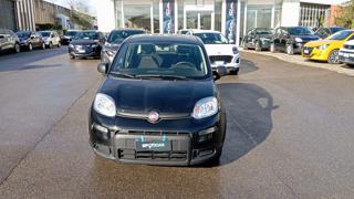 FIAT Panda usata, con Airbag