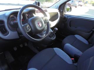 FIAT Panda usata 17