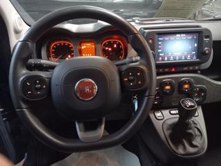 FIAT Panda Cross usata, con Chiusura centralizzata