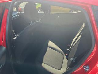 FORD Fiesta usata, con Cronologia tagliandi