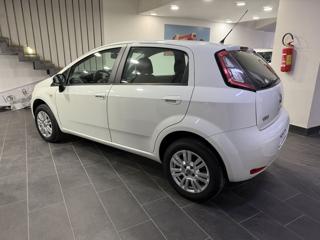 FIAT Punto usata, con Chiusura centralizzata