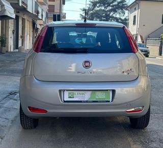 FIAT Punto usata, con Luci diurne