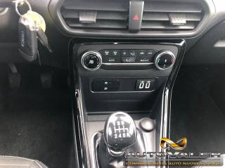 FORD EcoSport usata, con Fendinebbia