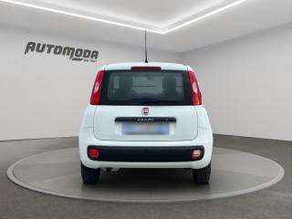 FIAT Panda usata, con Controllo trazione