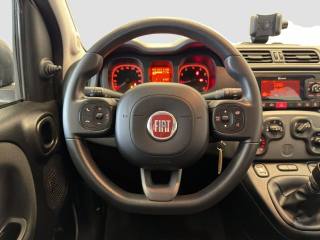 FIAT Panda usata 12