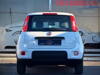 FIAT Panda usata, con Controllo trazione