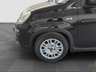 FIAT Panda usata 14