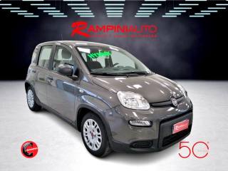 FIAT Panda usata 3