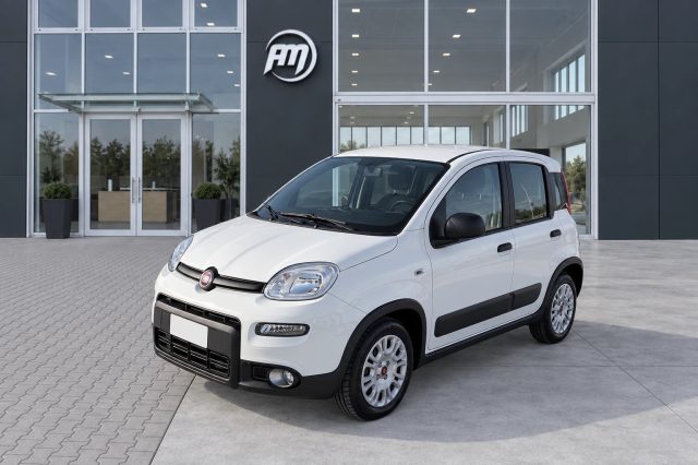 FIAT Panda usata, con ABS