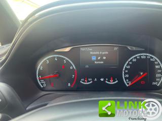FORD Fiesta usata, con Fendinebbia