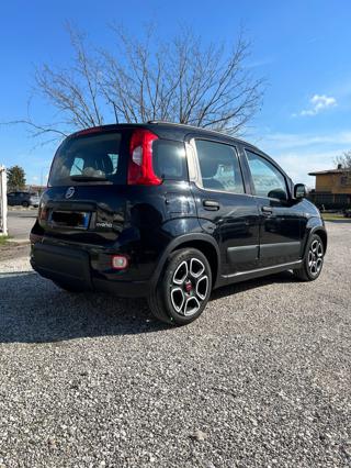 FIAT Panda usata, con Airbag Passeggero