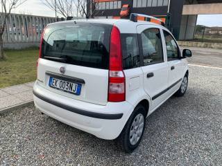 FIAT Panda usata, con Alzacristalli elettrici