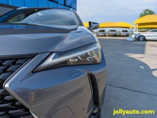 LEXUS UX 250h usata, con Controllo trazione