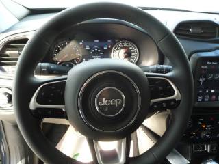 JEEP Renegade usata, con Controllo automatico clima