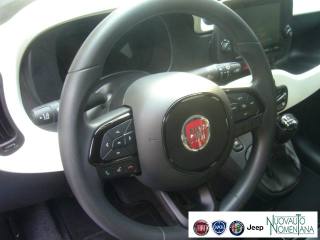 FIAT Panda Cross usata, con Volante multifunzione