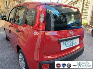 FIAT Panda usata, con Controllo trazione