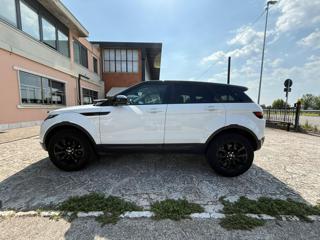LAND ROVER Range Rover Evoque usata, con Cerchi in lega