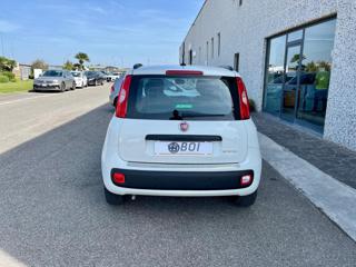 FIAT Panda usata, con Antifurto