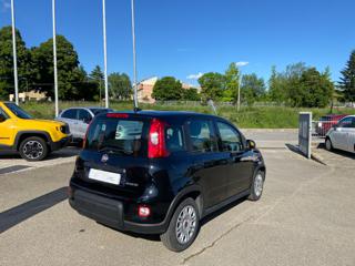 FIAT Panda usata 20
