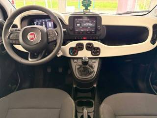 FIAT Panda Cross usata, con Sensore di luce