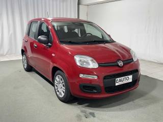 FIAT Panda usata, con Controllo trazione