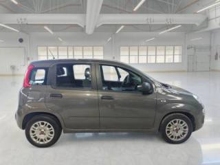 FIAT Panda usata, con Controllo trazione