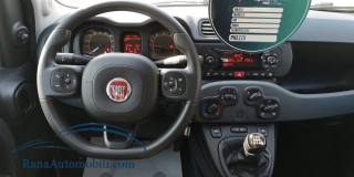 FIAT Panda usata, con Cronologia tagliandi