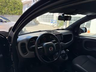FIAT Panda usata 37