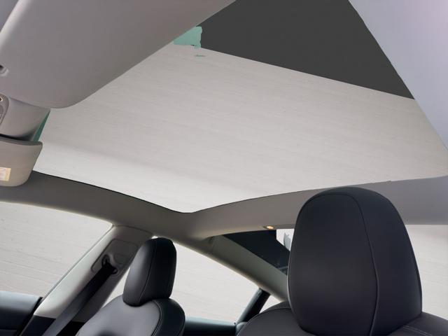 TESLA Model 3 usata, con ESP