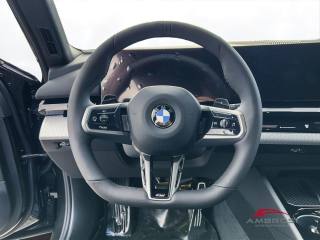 BMW 520 usata 12