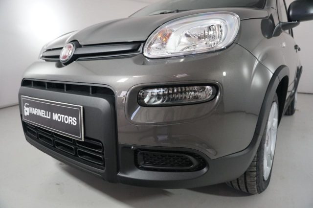 FIAT Panda usata 19
