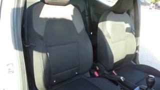 RENAULT Clio usata 59