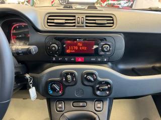 FIAT Panda usata, con Volante multifunzione