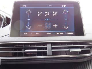 PEUGEOT 3008 usata, con Climatizzatore