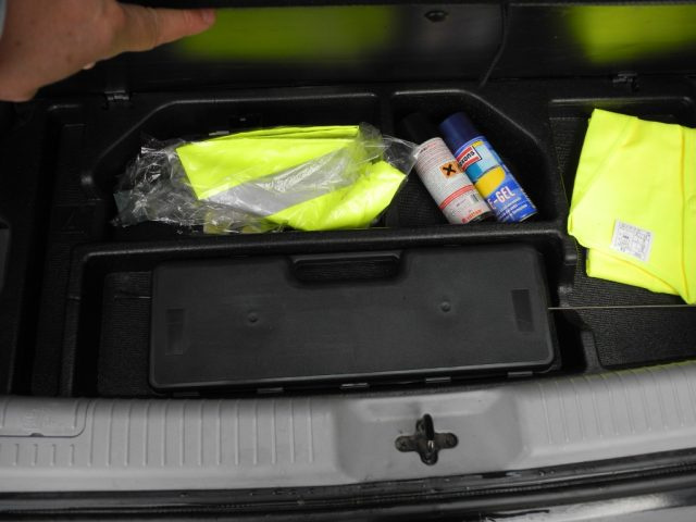 KIA Picanto usata 39
