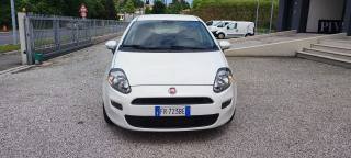 FIAT Punto usata, con Airbag Passeggero
