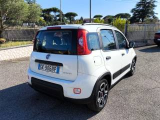 FIAT Panda usata 3
