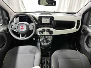 FIAT Panda usata, con Airbag testa