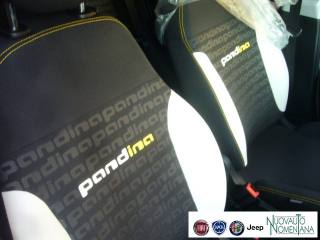 FIAT Panda Cross usata, con Riconoscimento dei segnali stradali