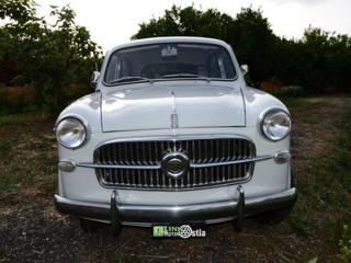 FIAT 1100 usata 12