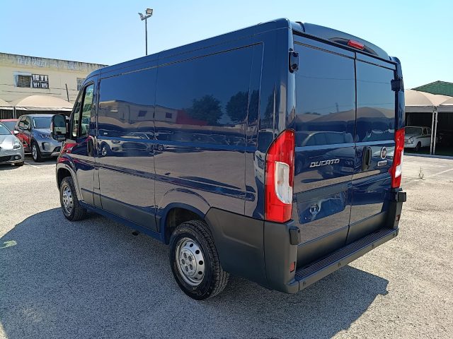 FIAT Ducato usata 3