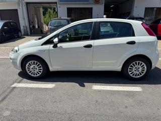 FIAT Punto usata, con Airbag
