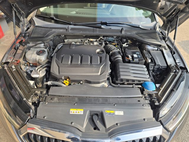 SKODA Octavia usata 136